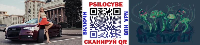 Купить  Нестеров  Псилоцибиновые грибы GOLDEN TEACHER 
